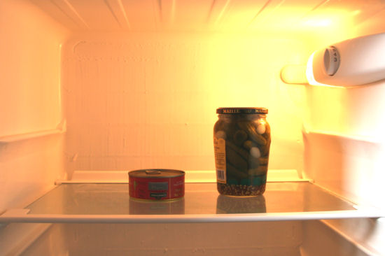 inside the fridge 1